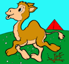 Dibujo Camello pintado por bruto-ninga