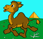 Dibujo Camello pintado por GRETEL