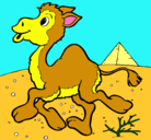 Dibujo Camello pintado por lucia
