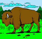 Dibujo Búfalo  pintado por sebas