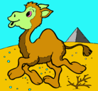 Dibujo Camello pintado por valentinacaro