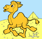 Dibujo Camello pintado por delsy