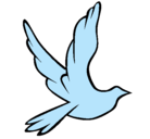 Dibujo Paloma de la paz al vuelo pintado por miagros