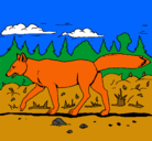 Dibujo Coyote pintado por gali