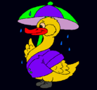 Dibujo Pato bajo la lluvia pintado por bribri