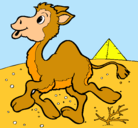 Dibujo Camello pintado por jessica