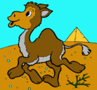 Dibujo Camello pintado por yooo