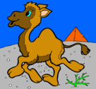 Dibujo Camello pintado por cheft
