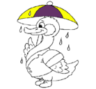 Dibujo Pato bajo la lluvia pintado por cristinab5