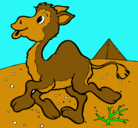 Dibujo Camello pintado por MANUEL