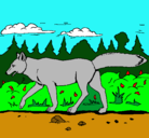 Dibujo Coyote pintado por ALIR-G