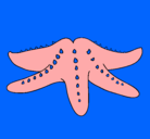 Dibujo Estrella de mar pintado por surianacirus
