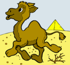 Dibujo Camello pintado por pepito