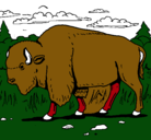 Dibujo Búfalo  pintado por ricardo
