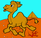 Dibujo Camello pintado por nazaret