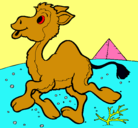 Dibujo Camello pintado por noelianoelia