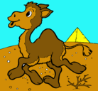 Dibujo Camello pintado por AGUS