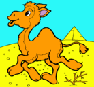 Dibujo Camello pintado por yelicza