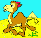 Dibujo Camello pintado por nadia
