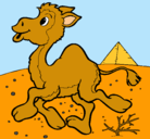 Dibujo Camello pintado por gada