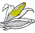 Dibujo Mazorca de maíz pintado por sara