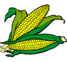 Dibujo Mazorca de maíz pintado por yeli