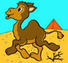 Dibujo Camello pintado por luciana