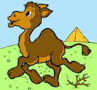 Dibujo Camello pintado por camila