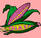 Dibujo Mazorca de maíz pintado por OjAMAJOCC