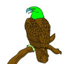 Dibujo Águila en una rama pintado por THIAGOLEON