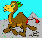 Dibujo Camello pintado por kamellin