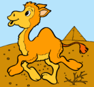 Dibujo Camello pintado por ivan
