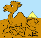 Dibujo Camello pintado por EDUARDOCUEVA