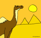 Dibujo Camello pintado por Sandra