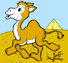 Dibujo Camello pintado por sandy