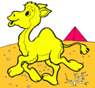 Dibujo Camello pintado por karlita