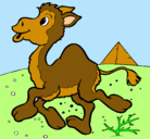 Dibujo Camello pintado por dieguito