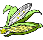Dibujo Mazorca de maíz pintado por isi