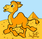 Dibujo Camello pintado por silviazamora