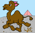 Dibujo Camello pintado por mariaosa