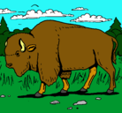 Dibujo Búfalo  pintado por pablobuendia