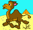 Dibujo Camello pintado por dante
