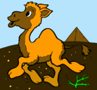 Dibujo Camello pintado por genesisyjose