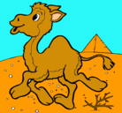 Dibujo Camello pintado por catalina