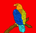 Dibujo Águila en una rama pintado por carlos