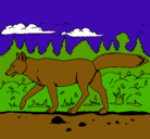 Dibujo Coyote pintado por cata