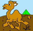 Dibujo Camello pintado por leall