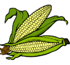 Dibujo Mazorca de maíz pintado por karito