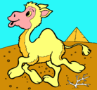 Dibujo Camello pintado por FACUSORIAYMELACOMO