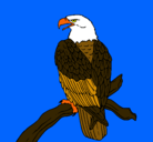 Dibujo Águila en una rama pintado por kevin